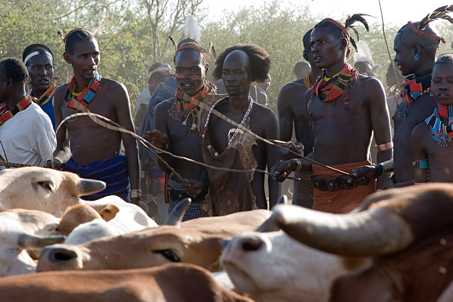 152   The end of the hamar bull jump ceremony